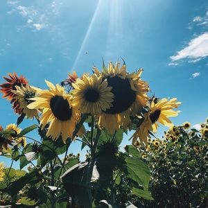 Meet your Posher, Kathleen